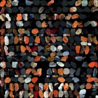 textured_material0015_map_Kd.png