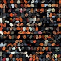 textured_material0018_map_Kd.png