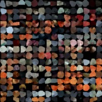 textured_material0081_map_Kd.png
