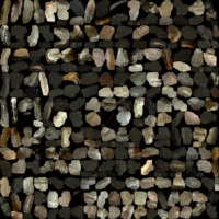 textured_material0005_map_Kd.png