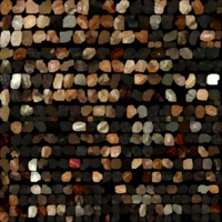 textured_material0007_map_Kd.png
