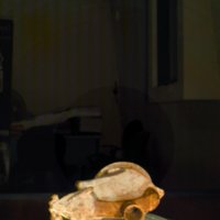 fox_pottery_T10.jpg