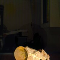 fox_pottery_T15.jpg