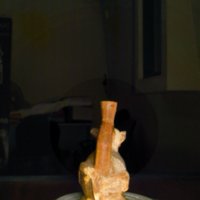 fox_pottery_T4.jpg