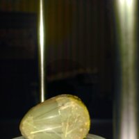 sloth_bead_T11.jpg