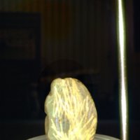 sloth_bead_T3.jpg