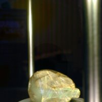 sloth_bead_T8.jpg