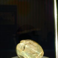 sloth_bead_T9.jpg
