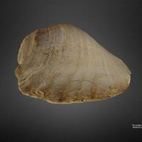 195-thumbnail.jpg
