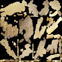 textured_material0000_map_Kd.png