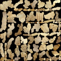 textured_material0001_map_Kd.png