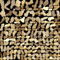 textured_material0002_map_Kd.png