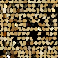 textured_material0024_map_Kd.png
