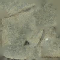 StoneScraper1.jpg