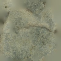 StoneScraper2.jpg