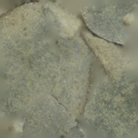 StoneScraper3.jpg