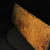 IMG_9769.JPG