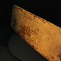 IMG_9770.JPG
