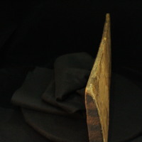 IMG_9783.JPG