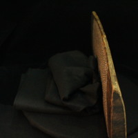 IMG_9784.JPG