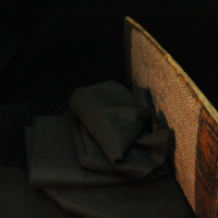 IMG_9785.JPG
