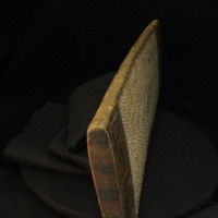 IMG_9787.JPG