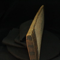 IMG_9790.JPG