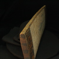 IMG_9791.JPG