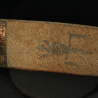 IMG_9799.JPG