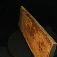 IMG_9823.JPG
