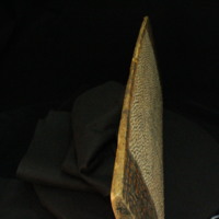 IMG_9853.JPG