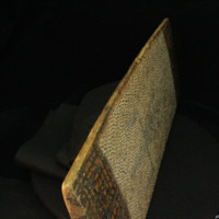 IMG_9855.JPG