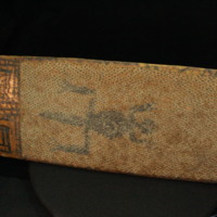 IMG_9865.JPG
