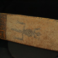 IMG_9866.JPG