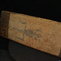 IMG_9867.JPG