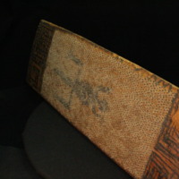 IMG_9870.JPG