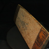 IMG_9872.JPG