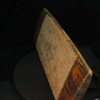 IMG_9873.JPG