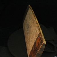 IMG_9874.JPG