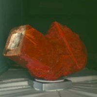 bust_1_T8.jpg
