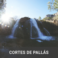 cortes_pallas-thumbnail.jpg