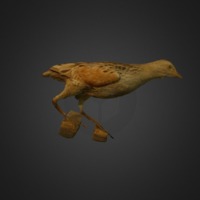 211-thumbnail.jpg