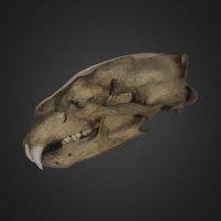 468-thumbnail.jpg