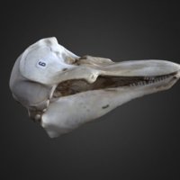 469-thumbnail.jpg