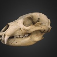 470-thumbnail.jpg