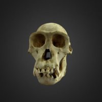 6196-thumbnail.jpg