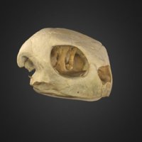 6198-thumbnail.jpg