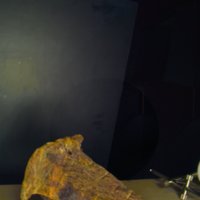 iron_wood_wedge_T12.jpg