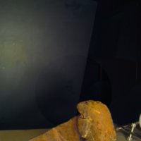 iron_wood_wedge_T16.jpg