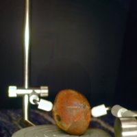 stone_holey_ball_T10.jpg